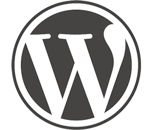 Why Update Your WordPress Site?